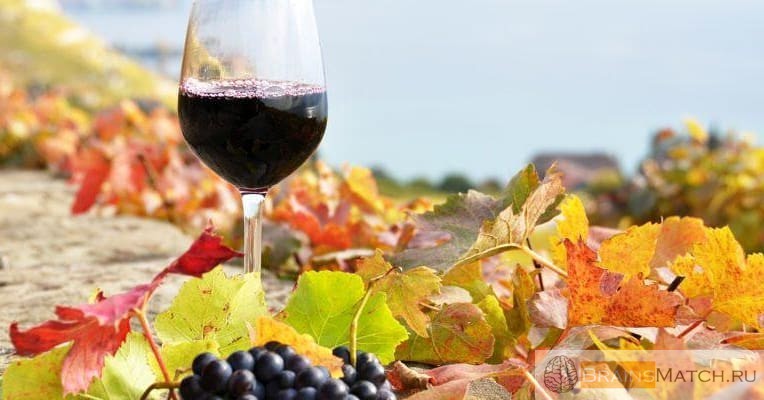 Как правильно дегустировать вино?