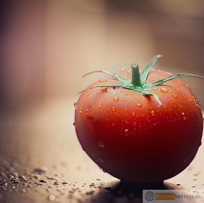 помидоры 